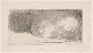  da Rembrandt van Rijn