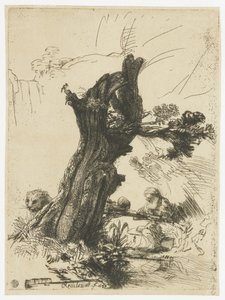 San Girolamo accanto a un salice capitozzato da Rembrandt van Rijn