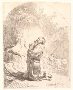 San Girolamo in preghiera
