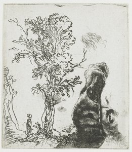 Foglio di studio con un albero e la parte superiore della testa di Rembrandt con il berretto da Rembrandt van Rijn
