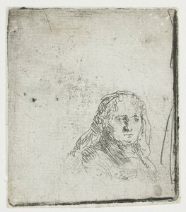 Studio della testa di una donna