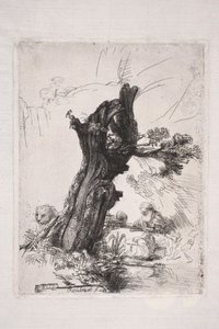 San Girolamo che scrive accanto al tronco di un salice da Rembrandt van Rijn