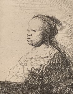 Il Bianco Nero da Rembrandt van Rijn