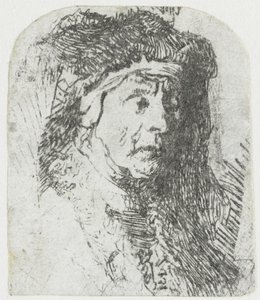 Donna in un mantello bordato di pelliccia da Rembrandt van Rijn