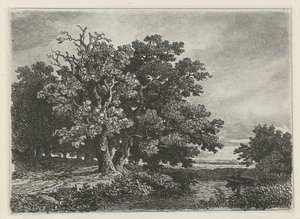 Alberi presso uno stagno con una barca da Remigius Adrianus Haanen