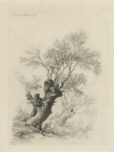 Salice da Remigius Adrianus Haanen