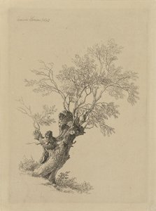 Salice da Remigius Adrianus Haanen