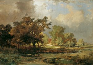 Motivo da Oosterhout in Olanda da Remigius Adrianus van Haanen