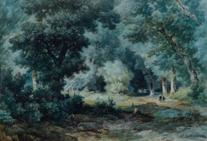 Interno del bosco