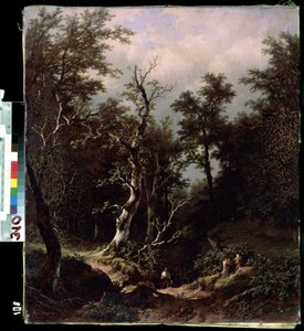Paesaggio forestale da Remigius van Haanen