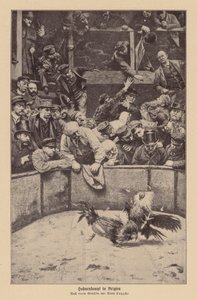 Combattimento di galli nelle Fiandre da Remy Cogghe