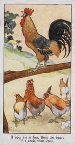 Proverbio orientale: Se sei una gallina, allora fai le uova; se sei un gallo, allora canta (litografia a colori) da René Bull