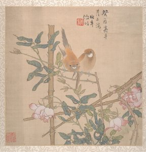 Due uccelli posati su un cespuglio di rose in fiore, fine XIX secolo da Ren Yi