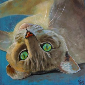 Felicità del gatto da Renate Dohr