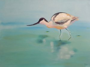 Avocetta da Renate Dohr