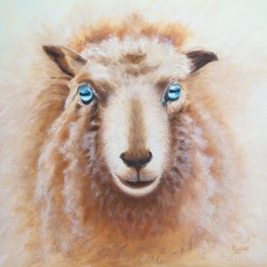 Pecora da Renate Dohr