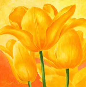 Tulipani gialli e solari da Renate Holzner