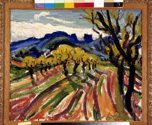 Campo di ulivi nelle Alpilles da Rene Auguste Seyssaud