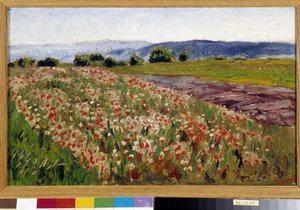 Il campo di papaveri