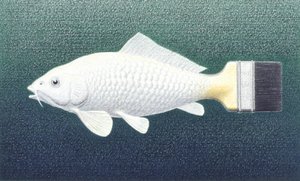 Pesce pennello da Rene Boin