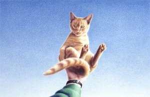 Mano piena da Rene Boin