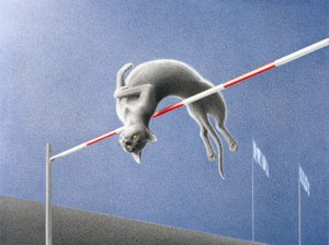Salto