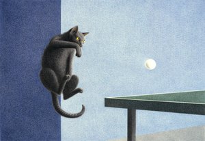 Ping pong