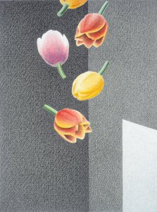 Tulipani da Rene Boin