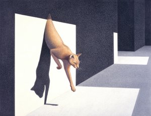 Muro