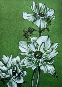 Inquietanti fiori verdi