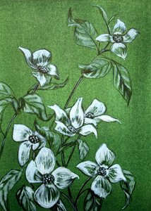Fiori botanici verdi