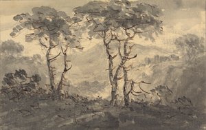 Abeti in un paesaggio montano