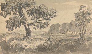 Paesaggio con due alberi e scogliera da Rev. William Gilpin