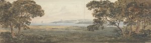 Paesaggio boscoso con vista su un estuario