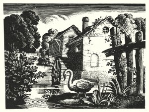 Hans Christian Andersen: Il Brutto Anatroccolo