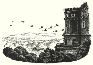 Hans Christian Andersen: I cigni selvatici