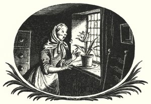 Hans Christian Andersen: Pollicina
