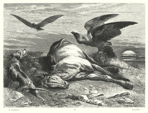 Il Childe Harold di Lord Byron, Canto I, Strofa 88 (incisione)