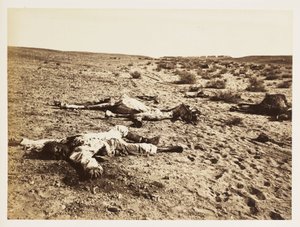 Soldato morto a Tel-el-Kebir, Egitto, 6 dicembre 1882 da John Pardon