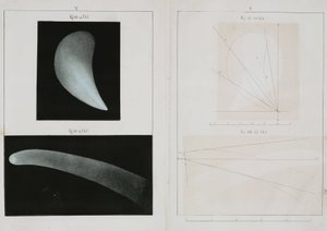 Cometa di Halley, ottobre 1835 da John Pardon