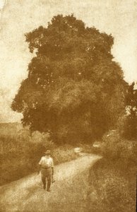 Surrey