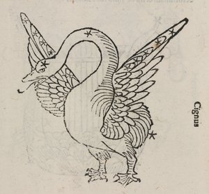 La costellazione del Cigno da John Pardon