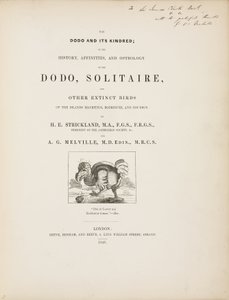 Pagina del titolo di 