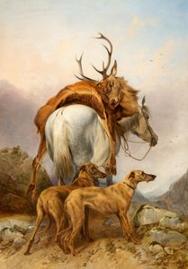 Un pony che trasporta un cervo morto