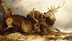 Il Combattimento, 1847