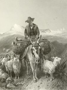 Il capraio di Granada da Richard Ansdell