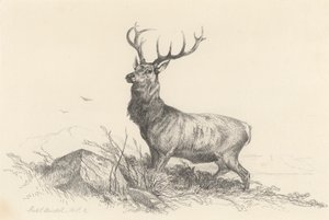La Sentinella