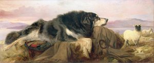 Il cane del pastore da Richard Ansdell