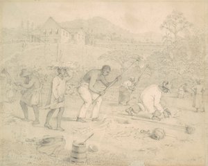Piantagione della Canna da Zucchero (Trinidad) da Richard Bridgens