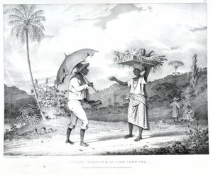 Domenica mattina in campagna, illustrazione da 